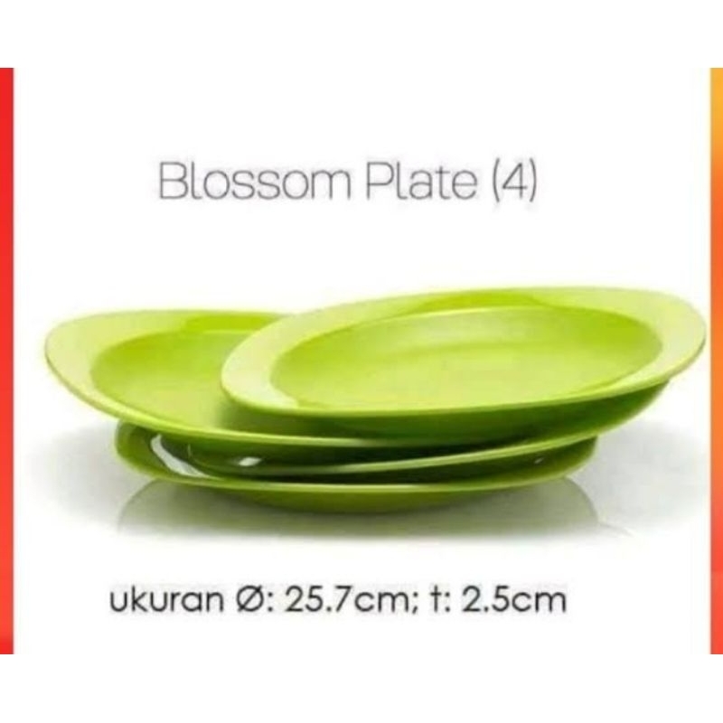 Blossom Plate Tupperware