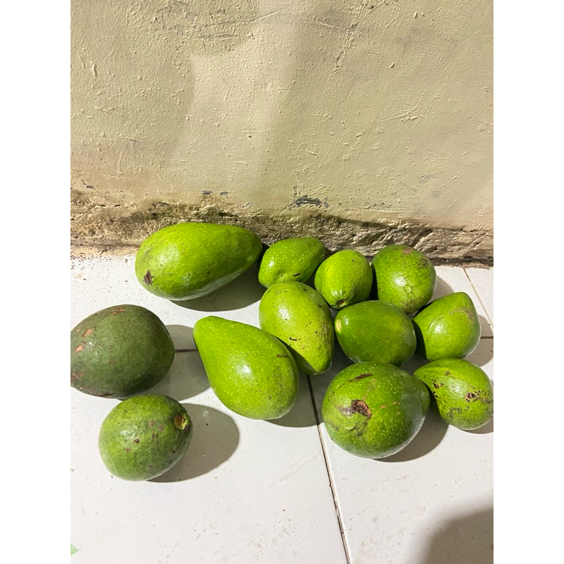 

(1KG isi 5-8) ALPUKAT MENTEGA 100% ORIGINAL (kirim dalam keadaan mentah)
