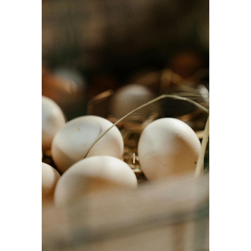 

Telur Ayam Kampung (Isi 3 Telur)