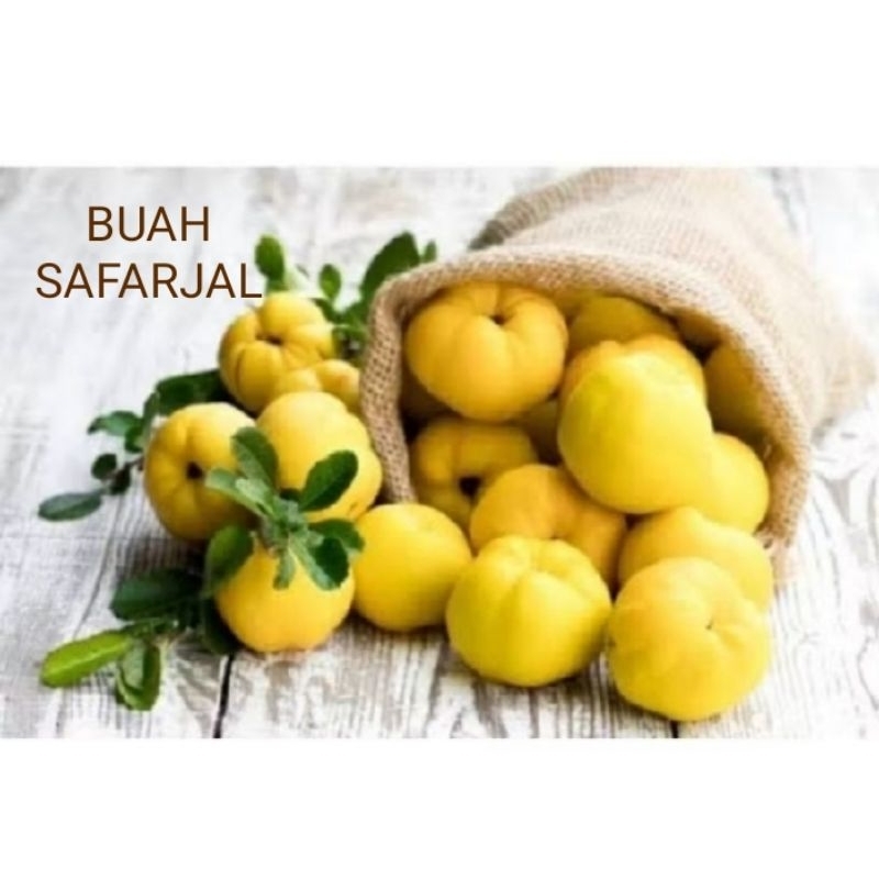

BUAH SAFARJAL/QUINCE ASLI MADINAH (1 BIJI)Az Olshop/ READY