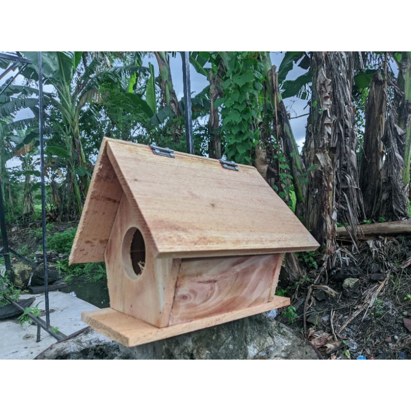 Glodok segitiga pintu atas burung Lovebird parkit kenari dll