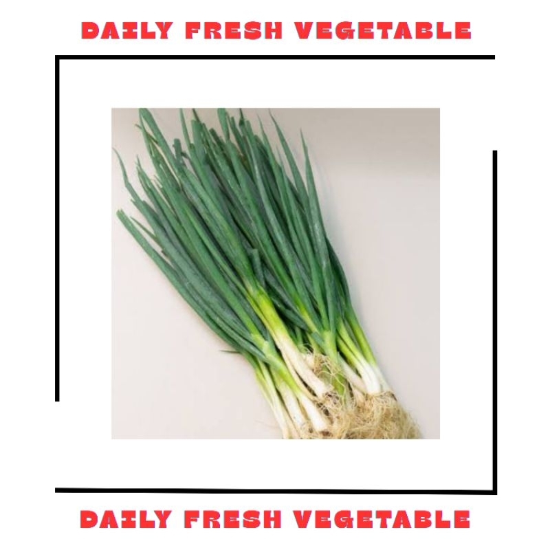 

Daun Bawang Fresh 250gr