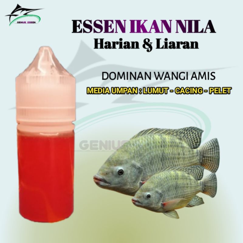 Essen Ikan Nila Media Lumut Ampuh Essen Ikan Nila Mujair Ampuh Essen ikan Nila Kolam Essen Ikan Nila