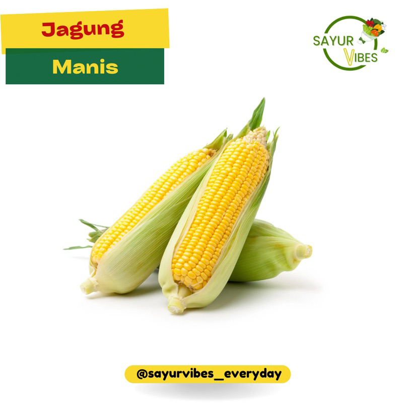 

Jagung manis super segar satuan Sayur Vibes