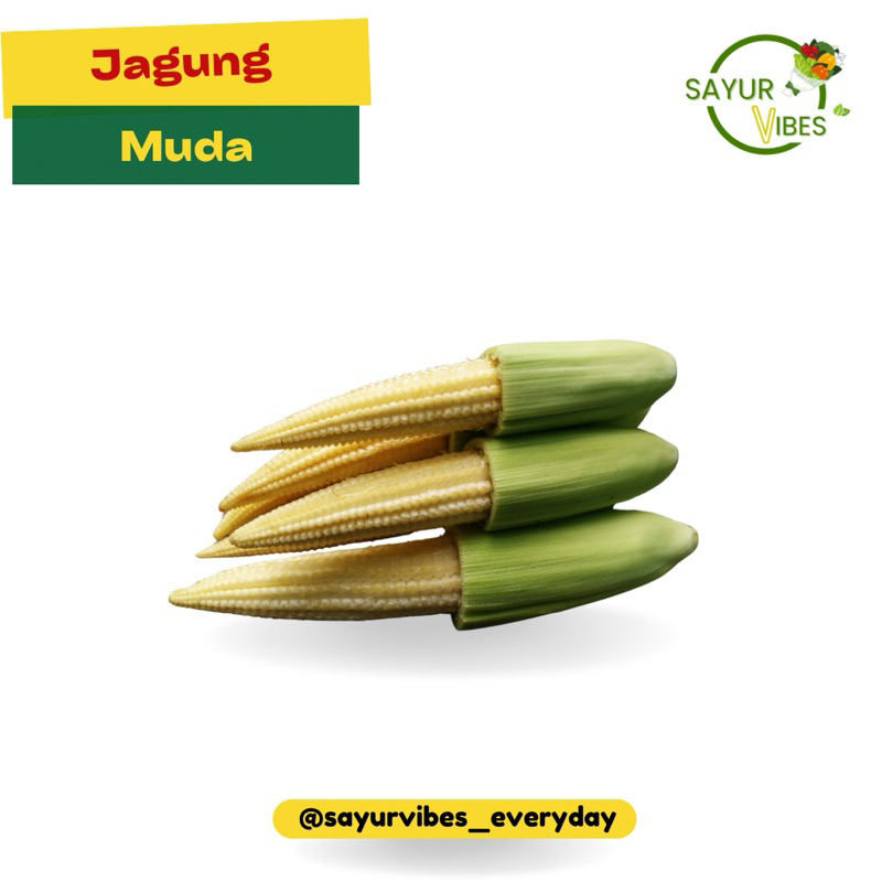 

Jagung muda / baby corn 100 gram Sayur Vibes / Jagung acar