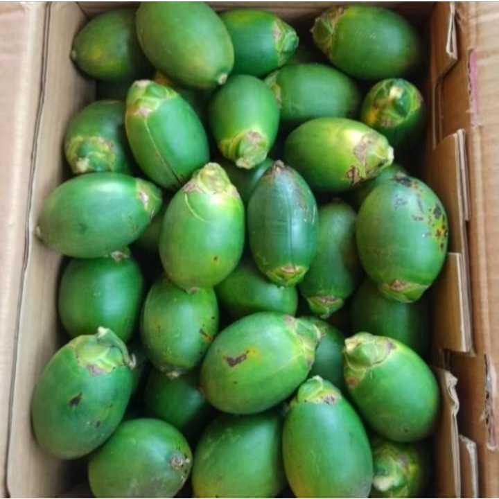 

pinang muda / Buah pinang muda / Jambe Muda isi 10 biji / pinang muda fres
