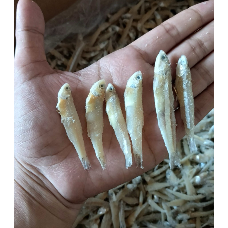 

ikan asin teri jengki khas Tuban