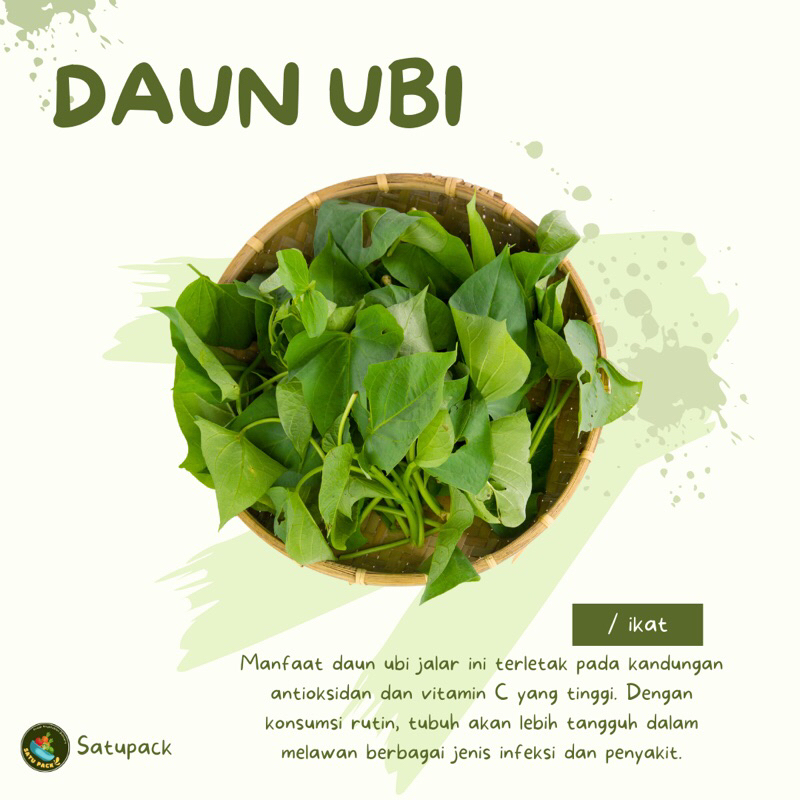 

DAUN UBI JALAR FRESH ( SUDAH DI BERSIHKAN DAN DI SORTIR )- 1 ikat
