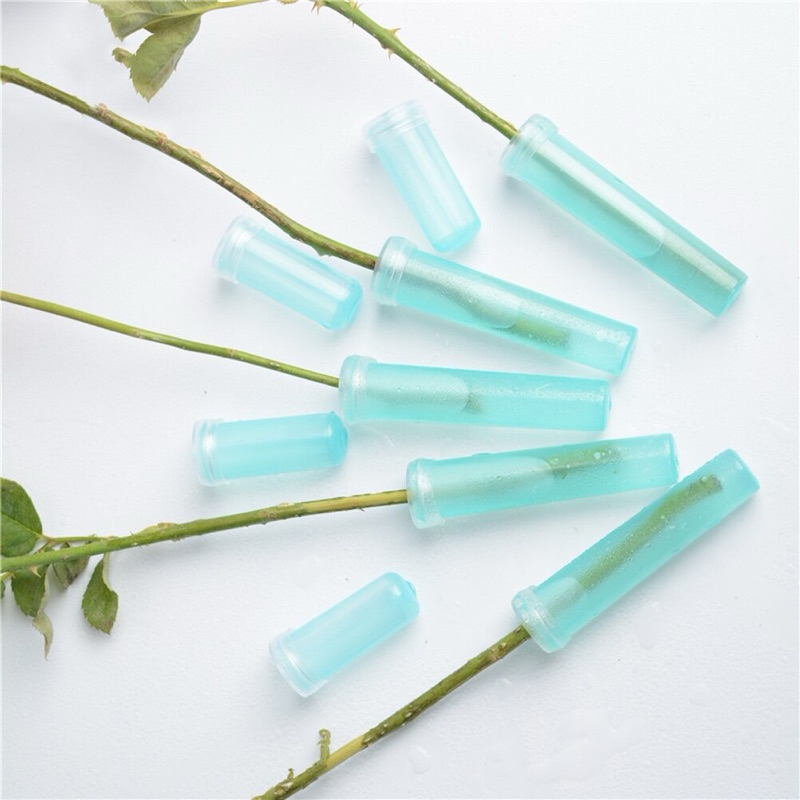 

[20 Pcs] Flower Tube / Tube lily / tabung bunga / tabung air