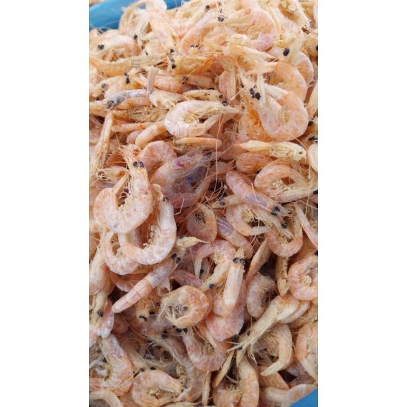 

Udang