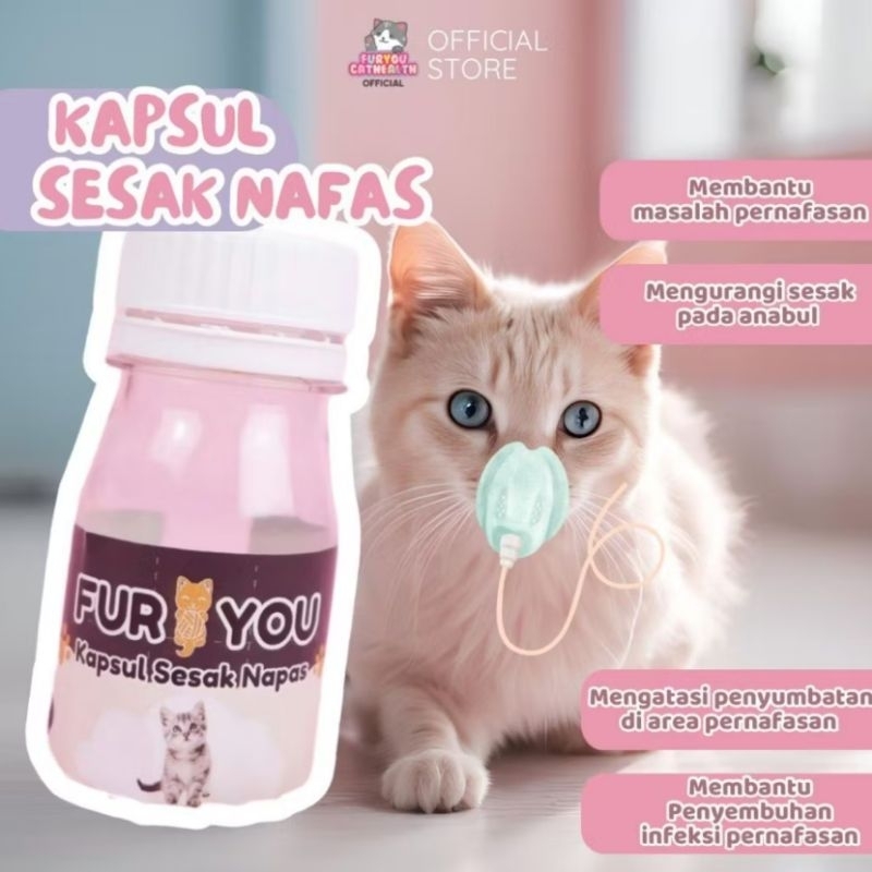 kapsul kucing sesak nafas sesak nafas pada kucing
