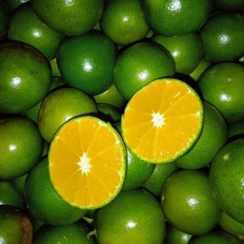 

Jeruk Peras Fresh Pilihan 1kg - Jeruk Baby Java Iris Manis