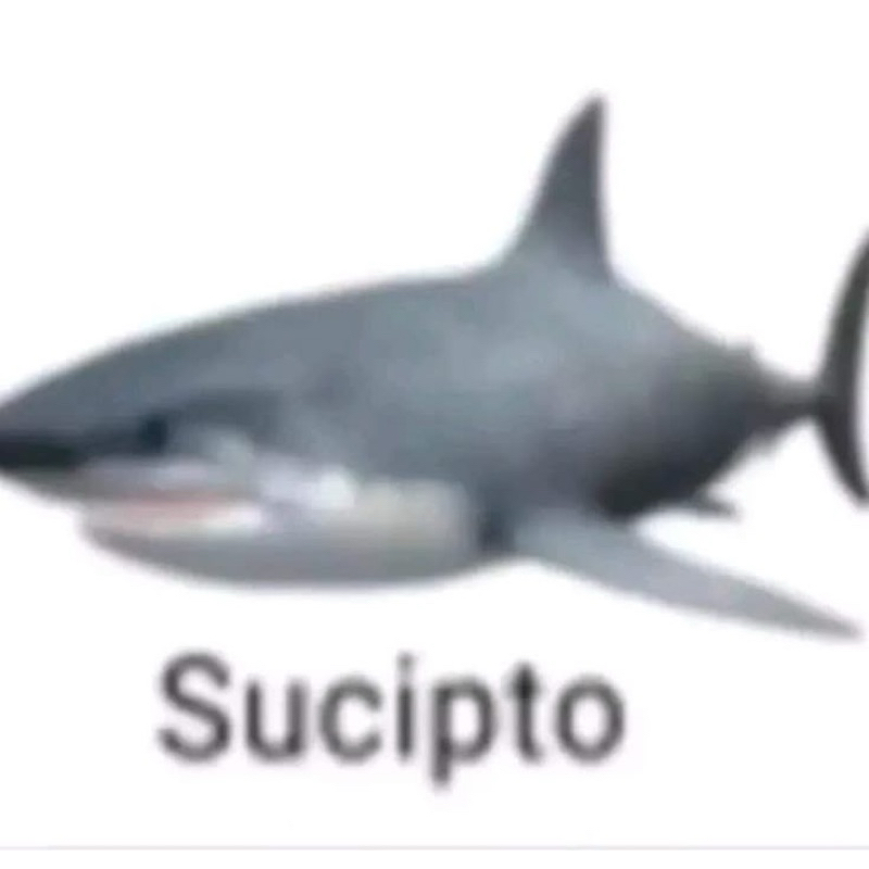 

CO PACKING (khusus photocard)