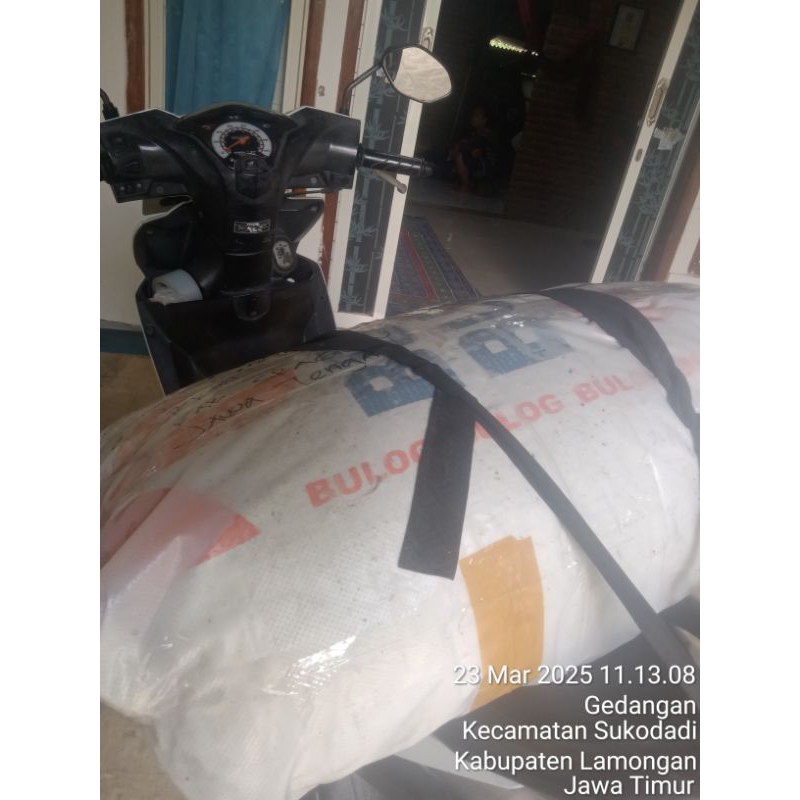 Azolla kering karung (10 kg)