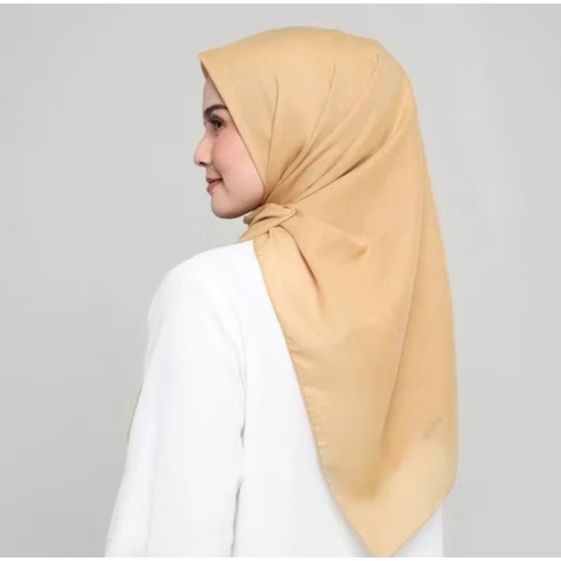 segi empat Obelia Samida Elzatta