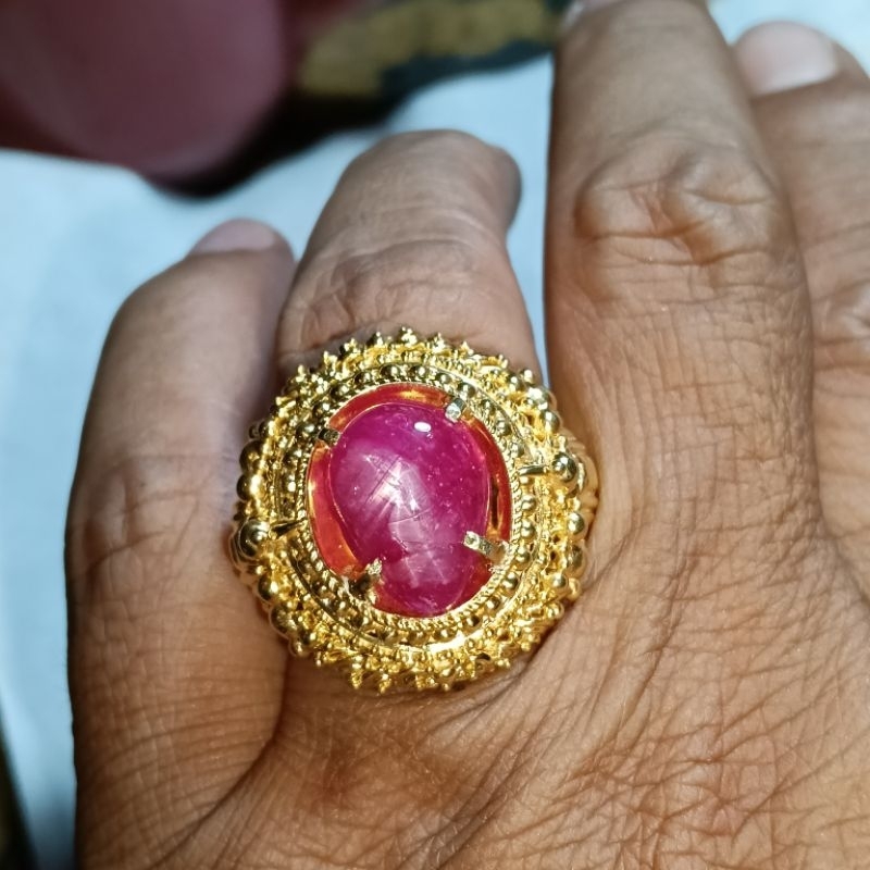Ruby Burma belang windusara pigeon