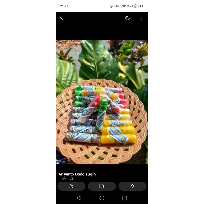 

dodol zebra pelangi
