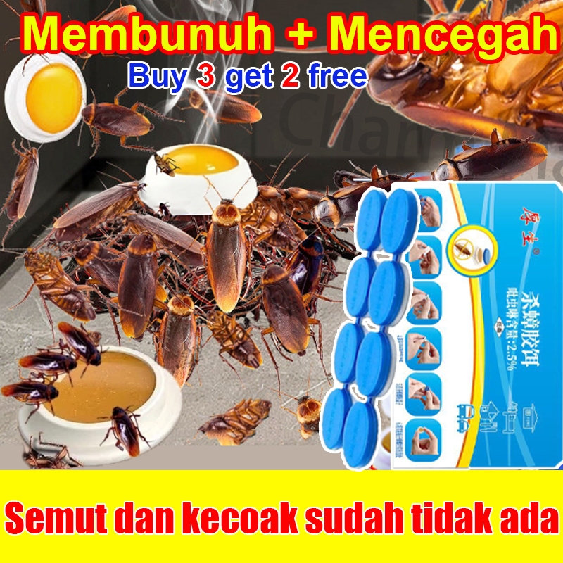racun kecoa 8 pcs / karton perangkap kecoa pembasmi kecoa paling ampuh anti kecoa perangkap kecoa mo
