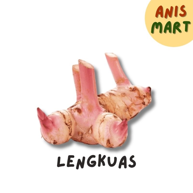 

KIRIM INSTAN Lengkuas / Laos