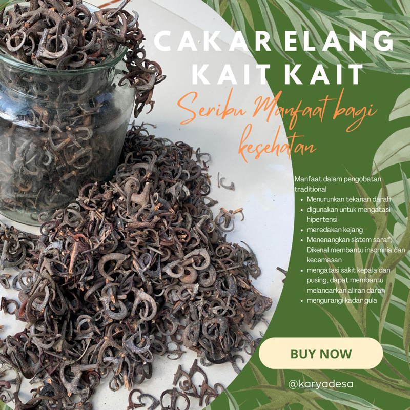 

1000 gr cakar elang kait kait kalaet obat herbal teh herbal obat diabetes gula batu