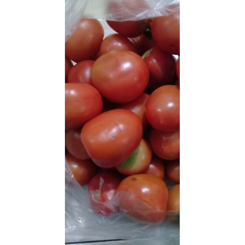 

tomat sayur