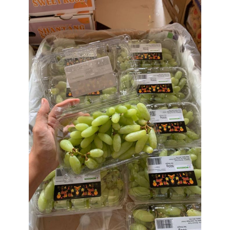 

ANGGUR HIJAU JARI RELISH 500grm
