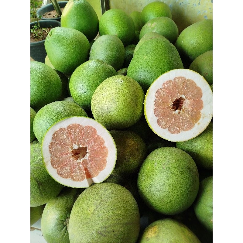 

JERUK PAMELO MADU BAGENG 1KG