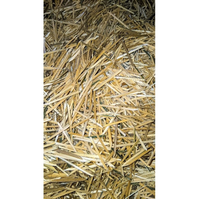 

Biting Lontong | Biting Tempe Daun | Biting Pepes | 1 KG