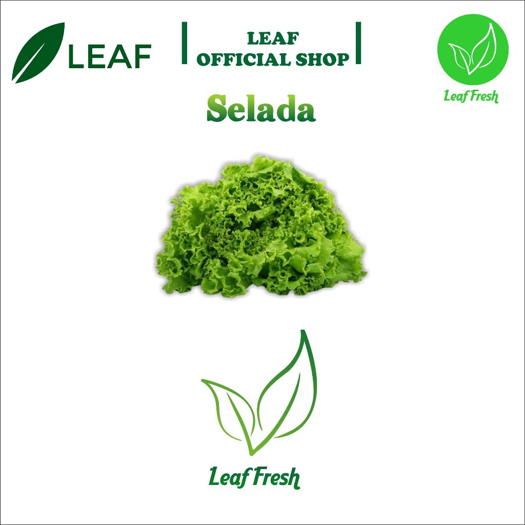 

SELADA HIJAU BY LEAF FRESH