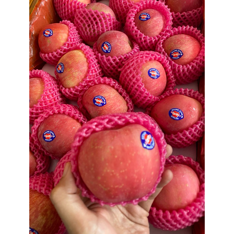 

apel fuji good quality per/kg