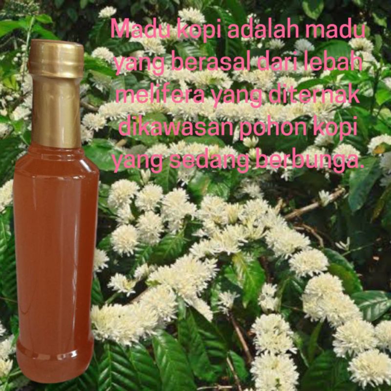 

Madu Murni Kopi 500 gram