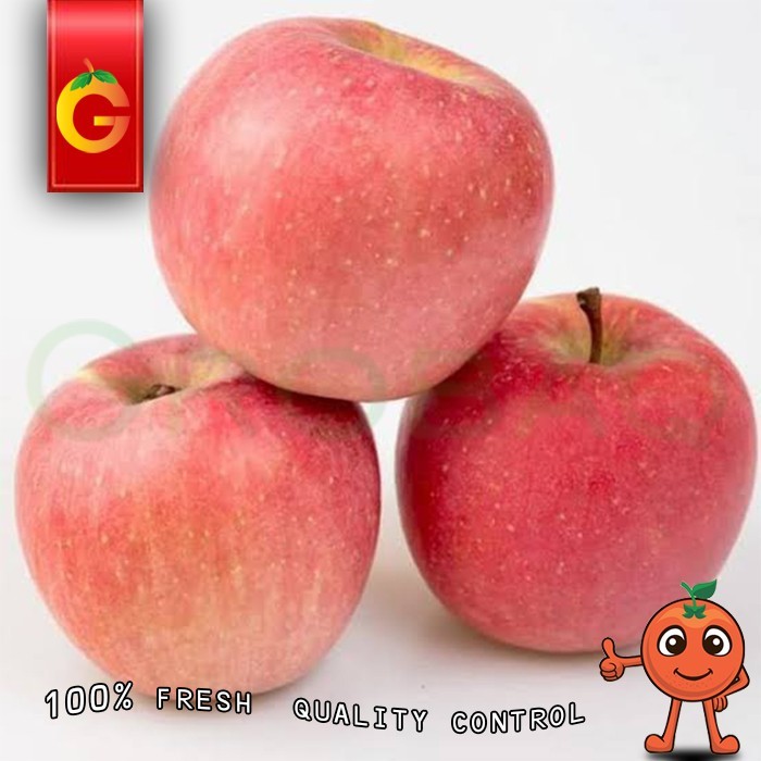 

Buah Apel Fuji Premium Fresh 1 KG