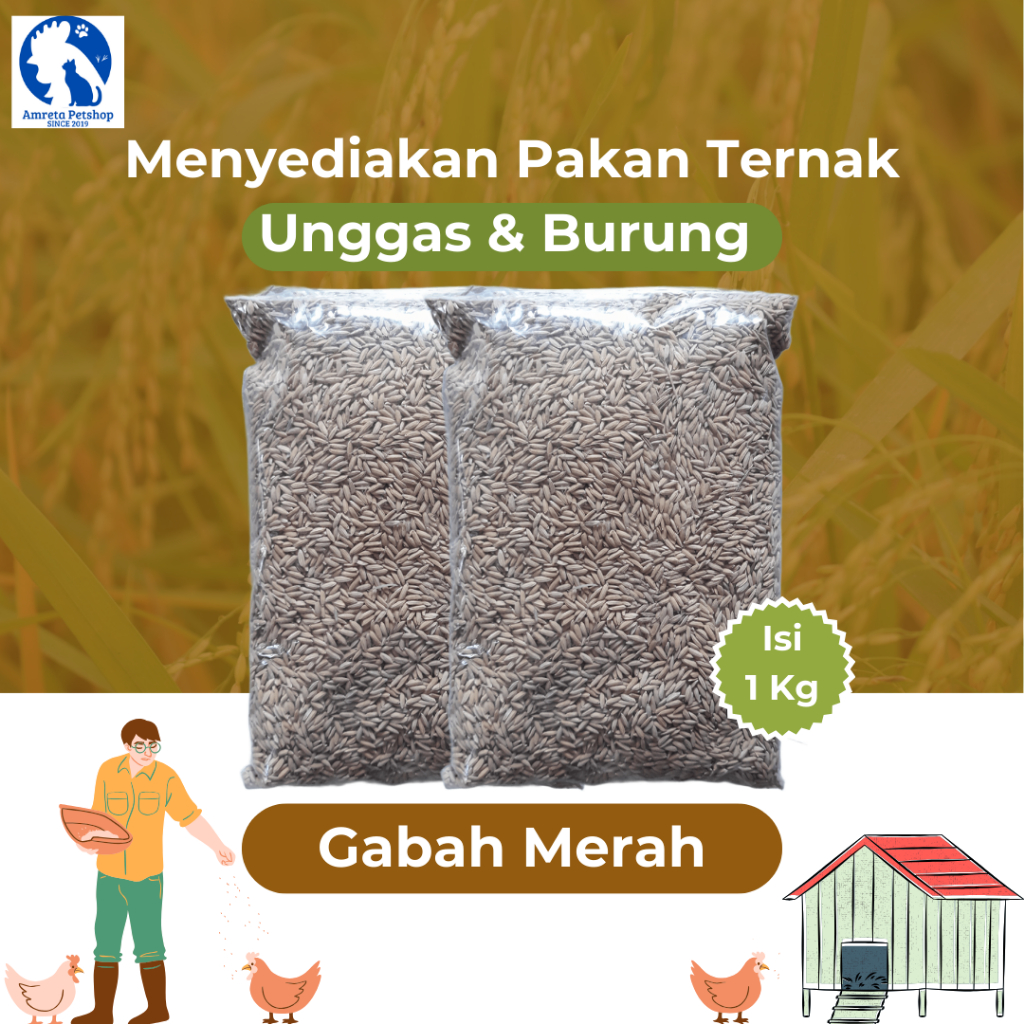 Gabah Padi Merah Pakan Ayam Burung & Unggas 1Kg