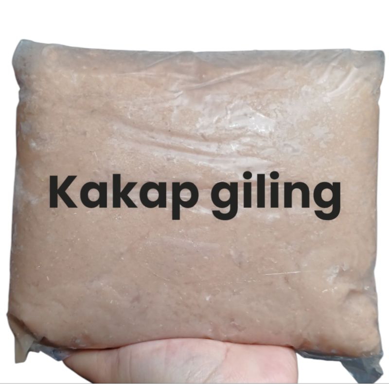 

IKAN GILING KAKAP