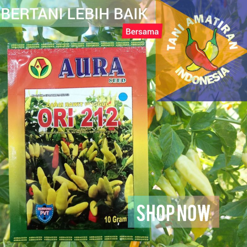 ORI 212 Benih Cabe Rawit AURA SEED 10gr