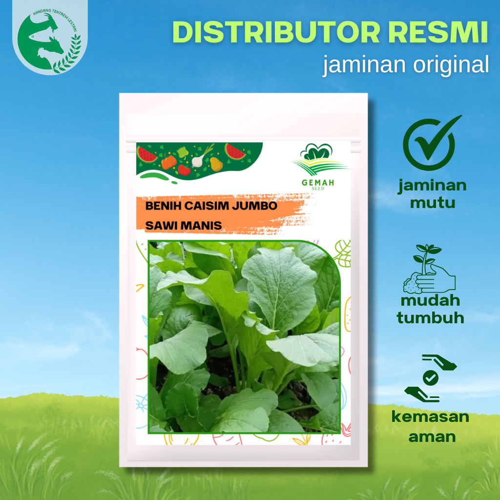 Benih Caisim Sawi Manis Jumbo 25 gram GEMAH SEED Unggul Lebat Panen Melimpah
