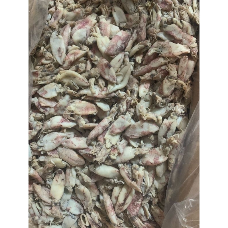 

ikan asin cumi sotong fresh 1kg