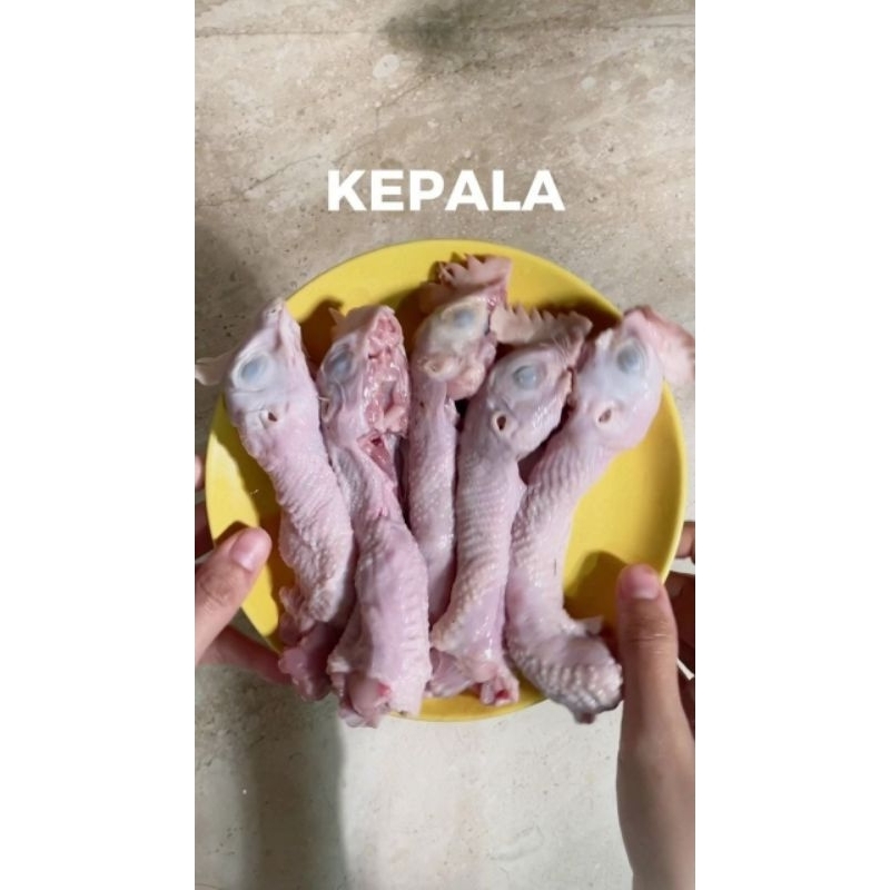

kepala ayam fresh kepala ayam segar