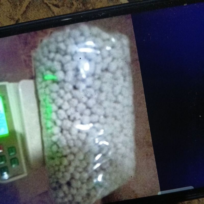 

Pilus kencur 1kg