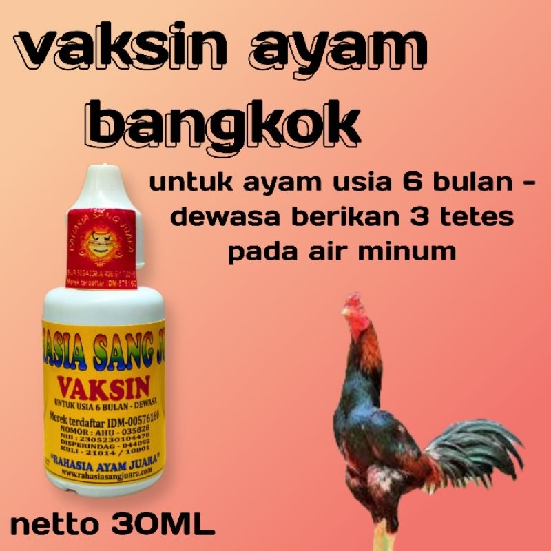 vaksin ayam bangkok 30ML