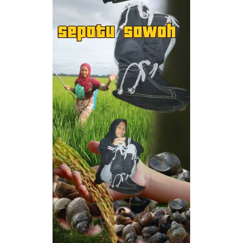 SepatuKeong SepatuSawah