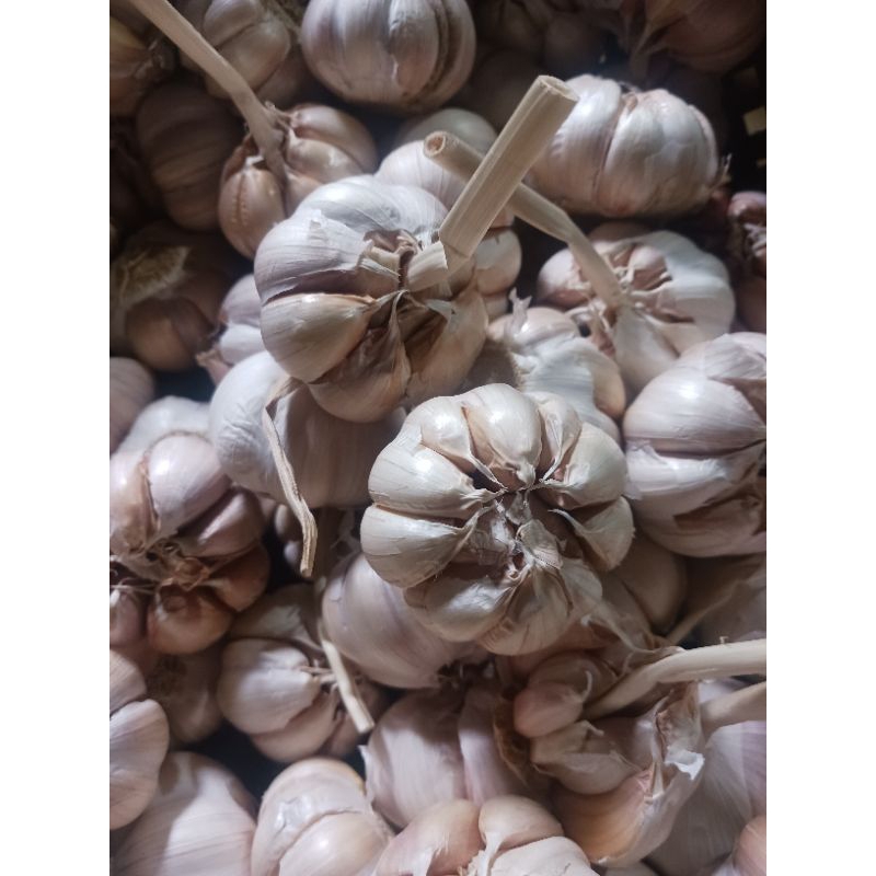 

bawang putih 1000 gr