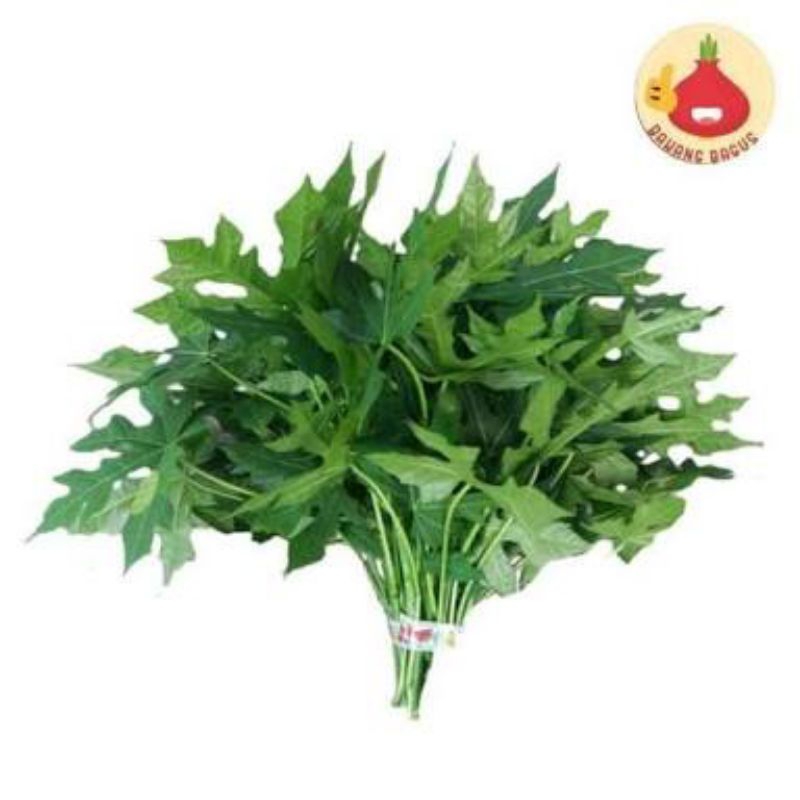 

daun pepaya sayur satu ikat Brat 250 g