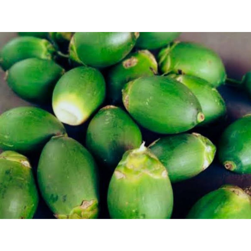 

Pinang Muda Asli Kerinci