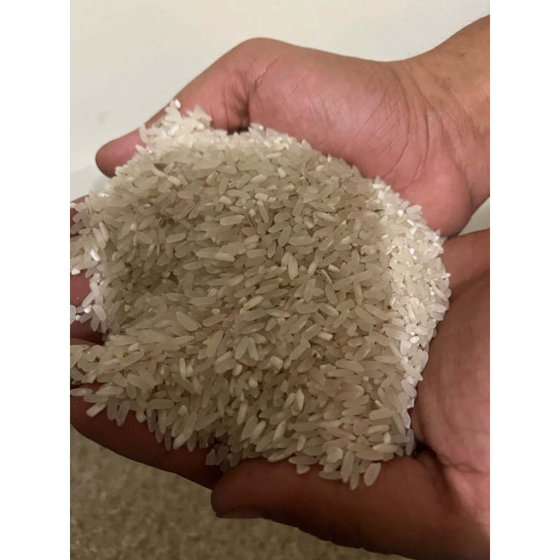 

Beras Pinrang