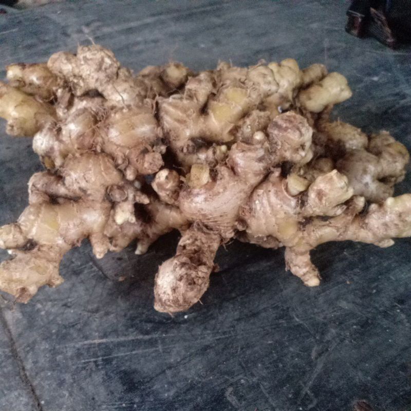 

Jahe emprit fresh 1kg