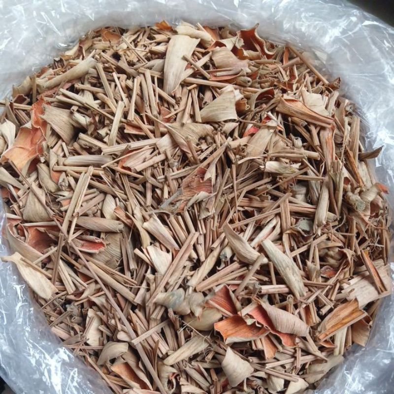 

Serai / Sereh / Sereh Kering / Dried Lemongrass / Lemongrass / Sereh Kering 1 kg / Sereh Kering 500 gram / Sereh Kering 250 gram / Sereh Kering 100 gram
