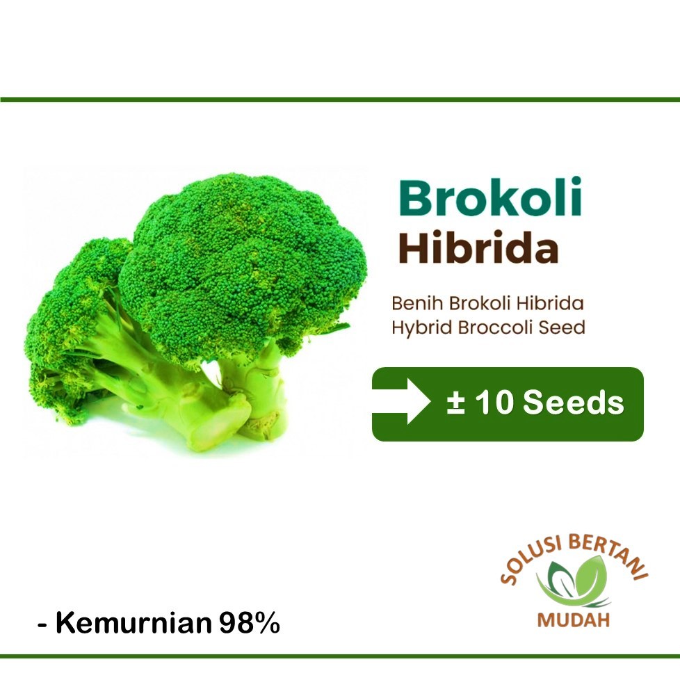 10 Biji - Benih Sayuran Brokoli Hijau F1 Hibrida