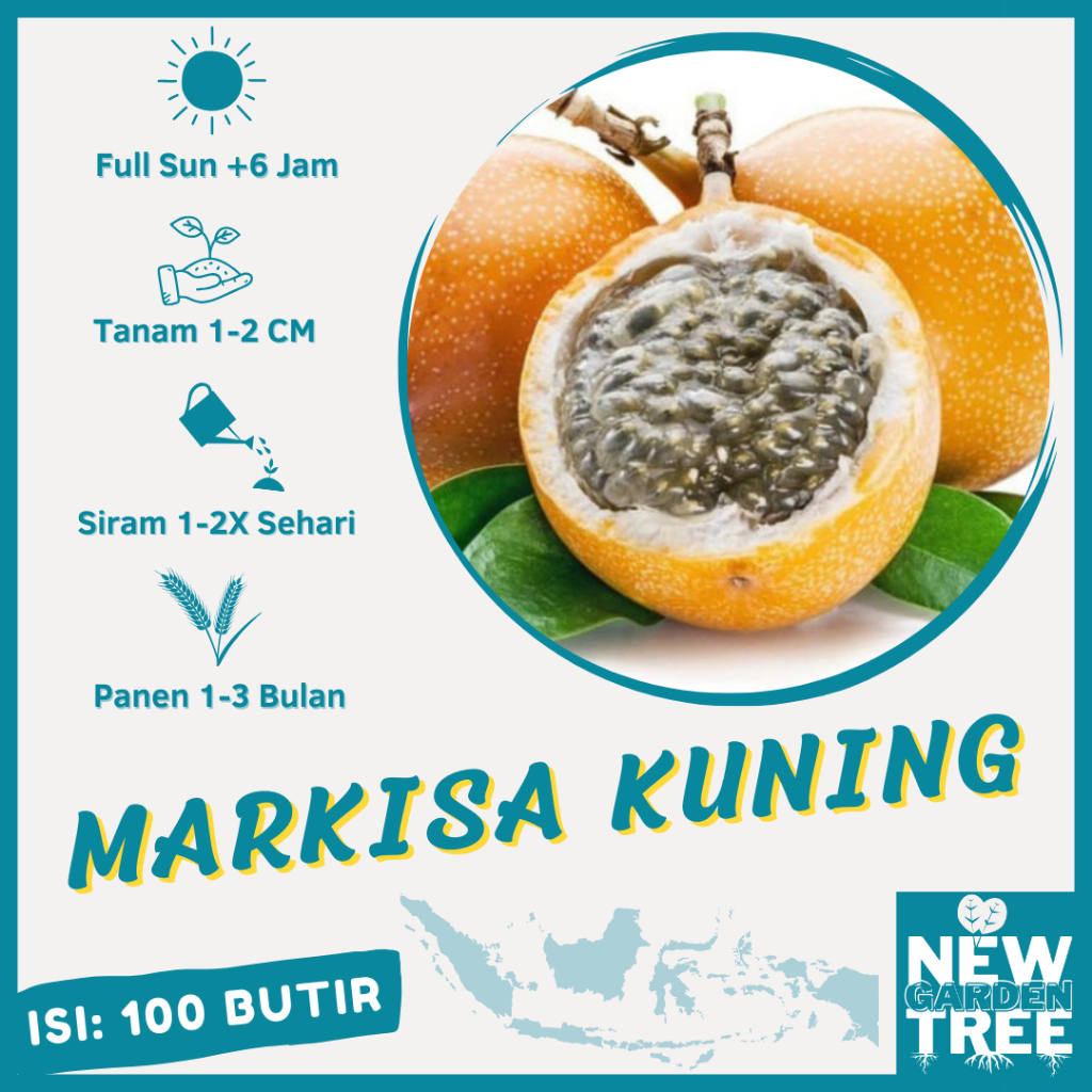 BENIH BUAH: 100 BENIH MARKISA KUNING MANIS KUALITAS UNGGUL