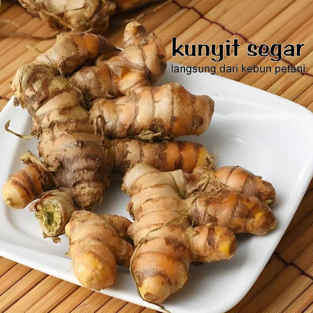 

Kunyit segar langsung dari kebun petani - 1 kg kunir koneng untuk bumbu rempah & pengobatan
